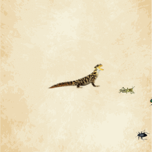 Sprite Lab - Code.org