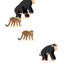 Sprite Lab - Code.org