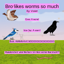 New Poetry Project - Code.org