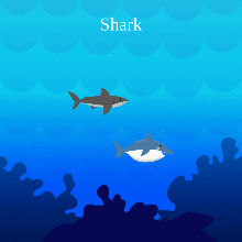 New Poetry Project - Code.org